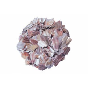 Paillage minéral pétale coquille saint-jacques 20/50