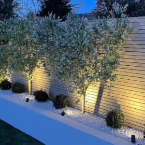 Décoration du jardin